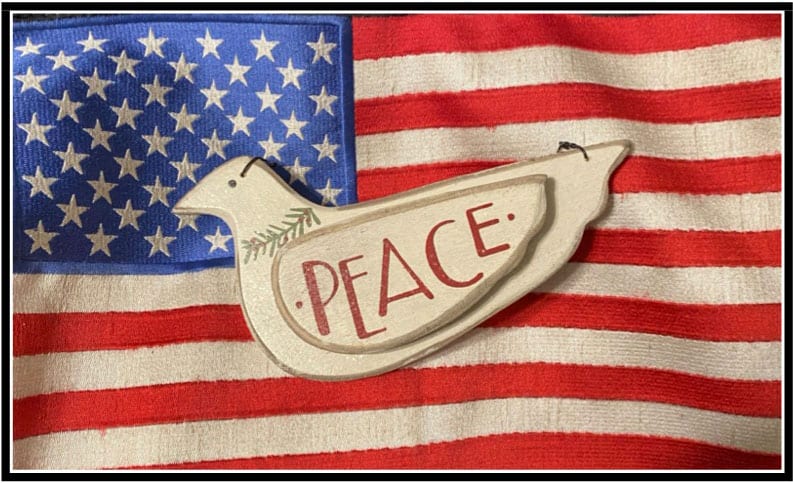 peace dove over an american flag